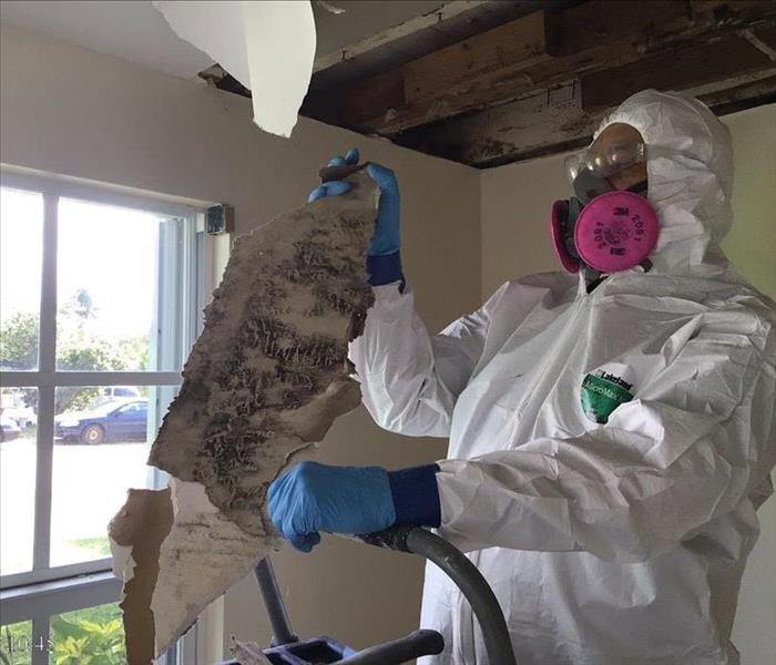 Team member holding mold affected materials.